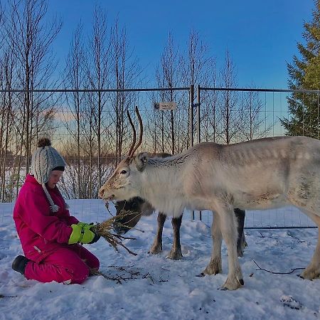 Tervola Beautiful Rural Experience With Reindeer 빌라 외부 사진