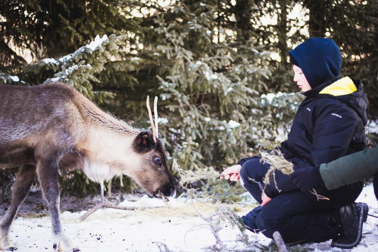 Tervola Beautiful Rural Experience With Reindeer 빌라 외부 사진
