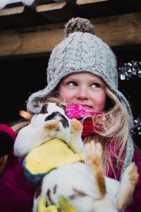 Tervola Beautiful Rural Experience With Reindeer 빌라 외부 사진